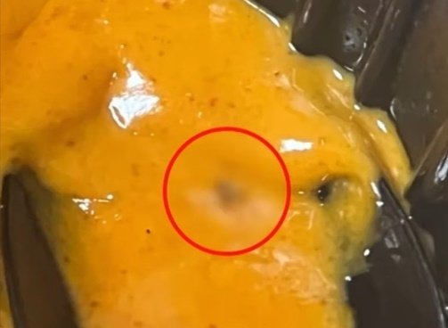 배달 음식에서 해외 바카라사이트가 나왔다고 속여 305차례에 걸쳐 770만원이 넘는 음식값을 해외 바카라사이트 받은 20대 대학생이 실형을 선고 받았다. YTN 뉴스 캡처