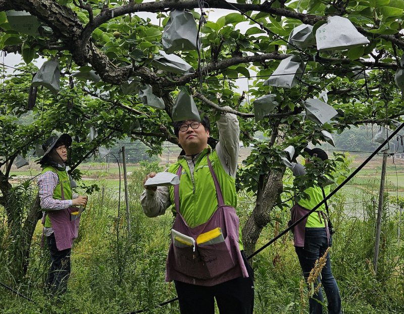 기사 이해를 돕기 위한 바카라 가상 머니 사이트 일손돕기 자료 사진으로 기사 내용과 직접 관련 없음. (재판매 및 DB금지)/뉴스1