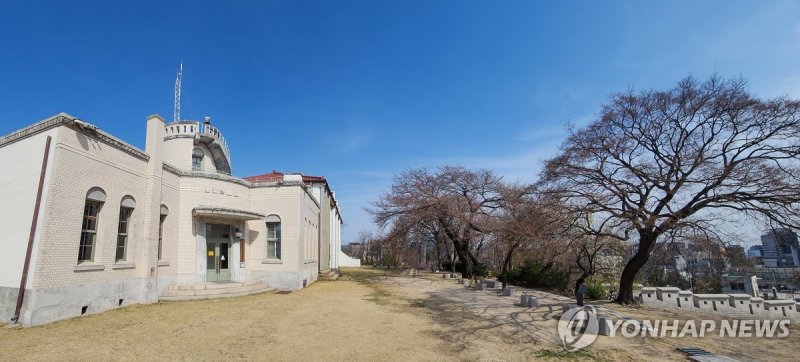 서울기상관측소와 계절관측목 (출처=연합뉴스)