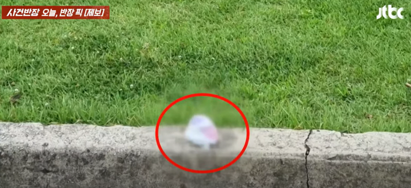 옆에 쓰레기통 있는데 경복궁에 버려진 다 쓴 기저귀... 누구 짓?