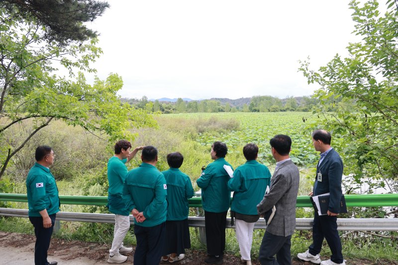 [창녕=뉴시스] 창녕군의회 의원들이 우포늪과 사지포 연꽃군락지를 살펴보고 있다. (사진= 창녕군의회 제공) 2025.07.16. photo@newsis.com *재판매 및 DB 금지
