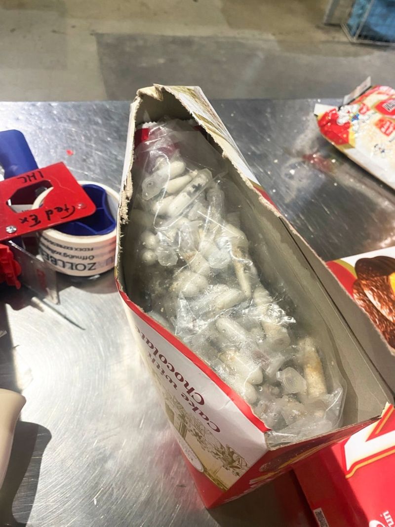 지난 6월 18일 케이크 포장 상자 안에 숨겨 베트남에서 독일로 불법 밀반입하려다 쾰른·본 공항에서 적발된 새끼 타란툴라 1500여 마리./AP연합뉴스