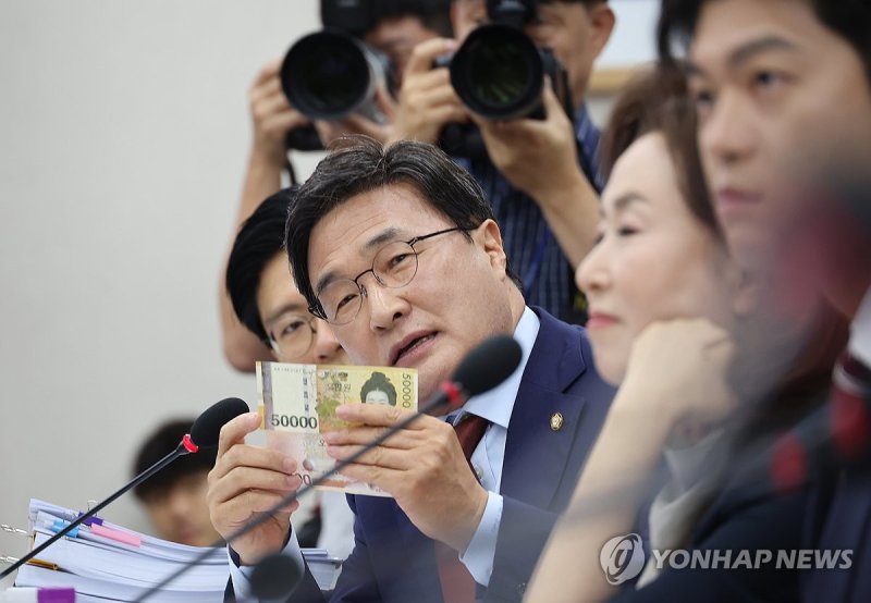 질의하는 김대식 의원 (출처=연합뉴스)