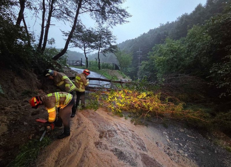 강원도내 국립공원탐방로 28곳 통제...밤사이 폭우피해 속출