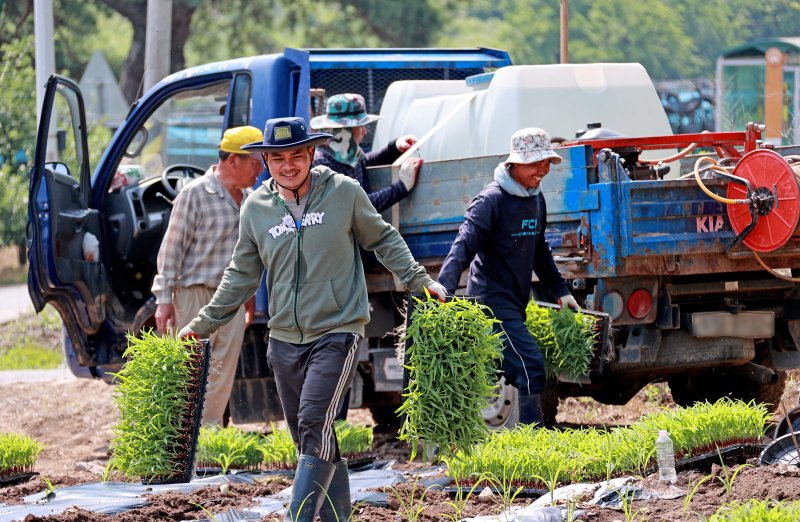 고용부, 폭염 대비 농촌 외국인 일터·숙소 점검