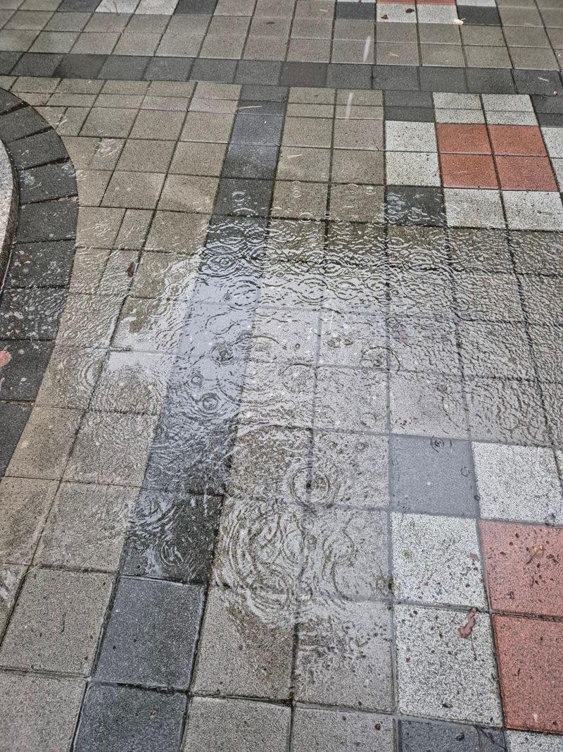 [르포] "우산도 무용지물...사고 날까 무서워요" 폭우에 잠긴 출근길