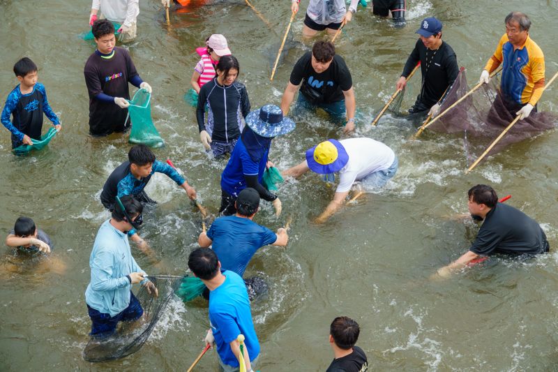 정남진장흥물축제 '황금 물고기를 잡아라'
