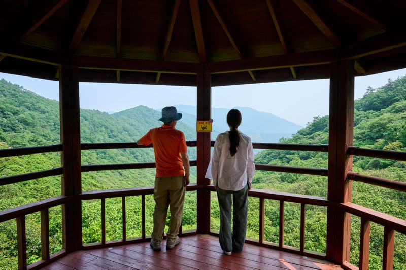 천관산자연휴양림 동백숲 전망대