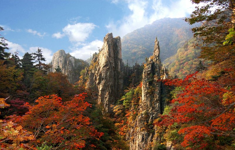 (평양 노동신문=뉴스1) = 북한 노동당 기관지 노동신문은 16일 "우리 나라의 명산 금강산이 세계문화 및 자연유산으로 등록됐다＂고 보도했다. 신문은 이로써 ＂당의 주체적인 문화유산보호정책의 정당성과 생활력이 뚜렷이 확증됐다＂고 선전했다. [국내에서만 사용가능. 재배포 금지. DB 금지. For Use Only in the Republic of Korea. Redistribution Prohibited] rodongphoto@news1.kr