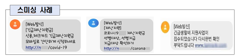 "민생소비쿠폰 URL 클릭 금지" 금융당국, 소비자경보 발령