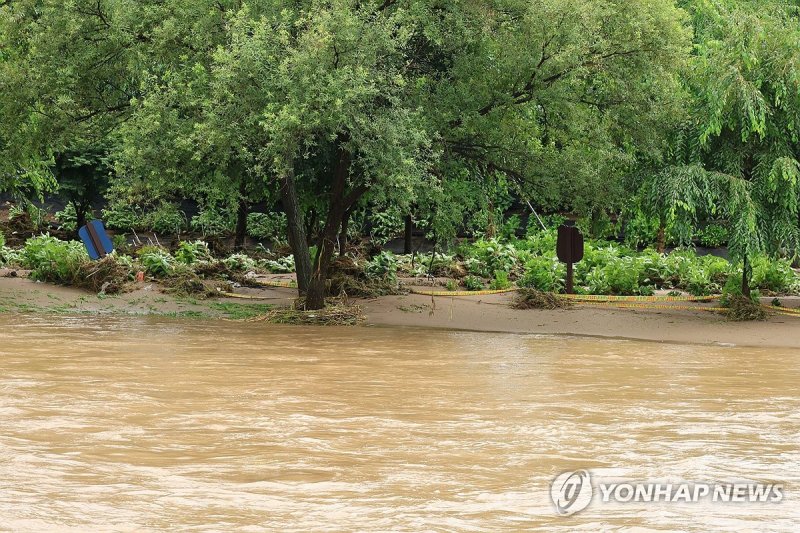 수마가 지나간 유구 색동수국정원 (출처=연합뉴스)