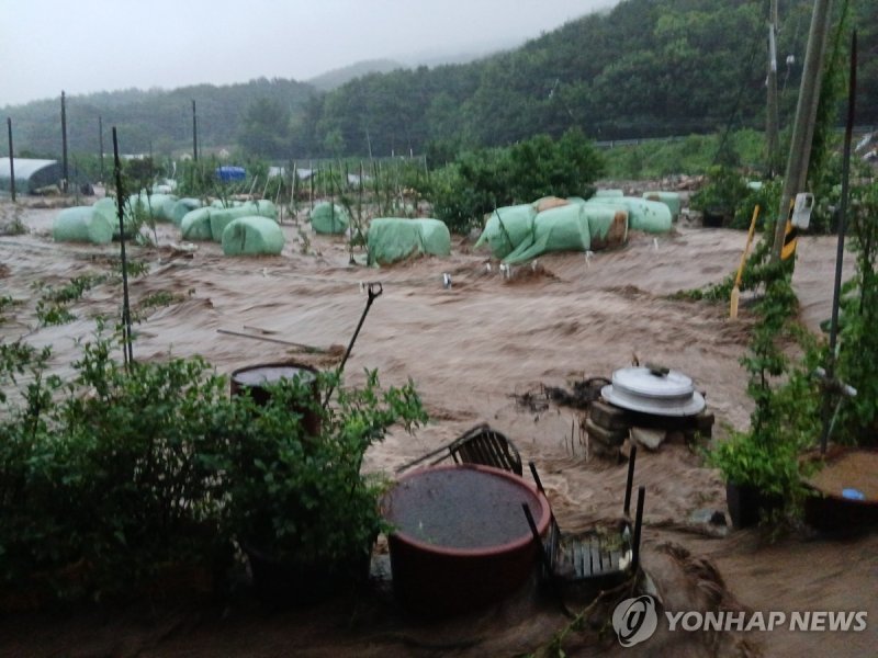 집중호우로 물에 잠긴 예산 마을 (출처=연합뉴스)