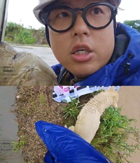 홍수 속 목줄 묶여 떠내려갈 뻔한 강아지 구한 '이 남성', 대체 누구?