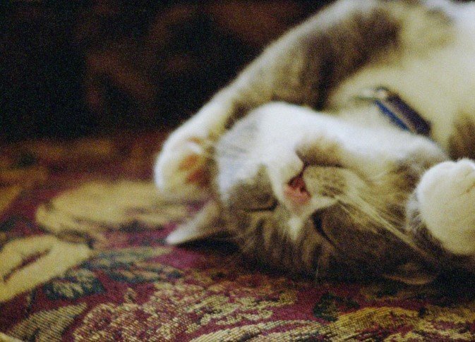 빛의 색을 담은 그릇 Pitcher of Colored Light, 2000-2007, 16mm, 컬러, 유성, 23분 (국립현대미술관 제공)