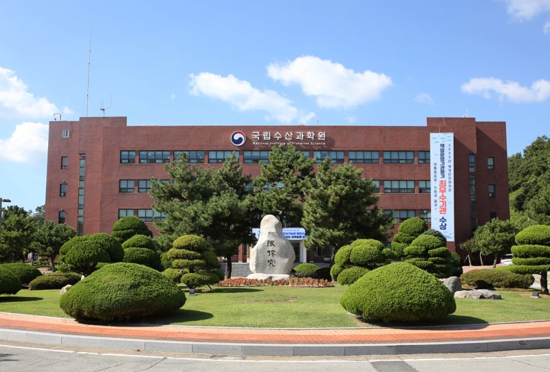 국립수산과학원 "올해 정어리 자원 지난해와 유사한 수준"