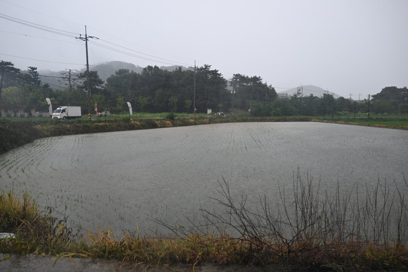 [광주=뉴시스] 박기웅 기자 = 사진은 호우경보가 내려진 지난 17일 오후 광주 서구 서창동 서창교 인근 논이 쏟아진 비에 침수돼 있는 모습. 2025.07.17. pboxer@newsis.com