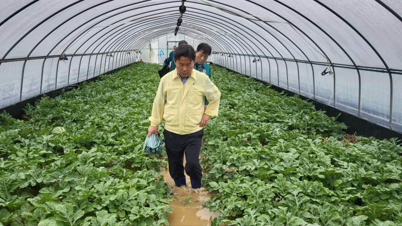 부여군수에게 주먹 날리고 뺨 때린 시민 왜 상가로...
