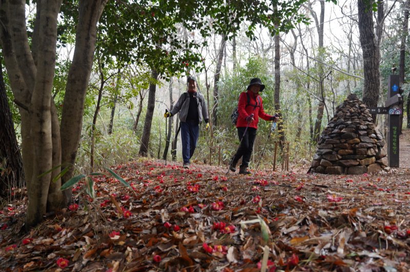 [해남=뉴시스]해남 달마산 달마고도 힐링축제. (사진=해남군 제공) 2025.03.08. photo@newsis.com *재판매 및 DB 금지