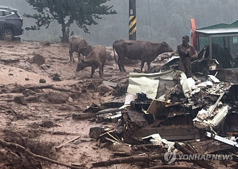 (출처=연합뉴스)