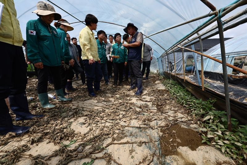 송미령 농림축산식품부 장관이 20일 오전 집중호우로 침수 피해를 입은 충청남도 부여군 소재 시설원예 농가를 방문해 피해 농가를 위로하고, 응급 복구 진행 상황을 점검하고 있다. 농식품부 제공