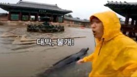 "폭우로 경복궁마저 물에 잠겨" 다급한 기자, 카메라 돌리자…