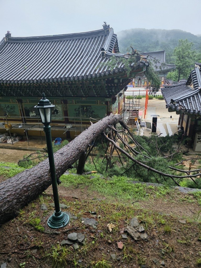 국가등록문화유산 '남양주 봉선사 큰법당' 피해 모습 (출처=연합뉴스)