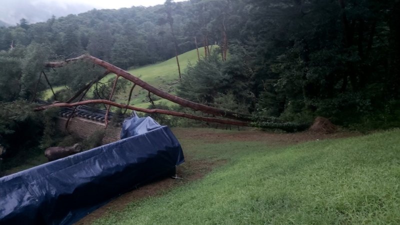 사적 '남양주 광릉' 피해 모습 (출처=연합뉴스)