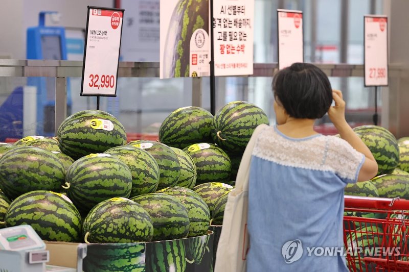 폭염, 폭우에 수박 가격은(?) (출처=연합뉴스)