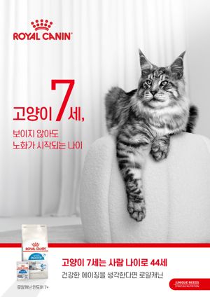 최신 뉴스 이미지