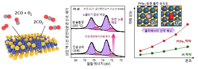 사진 (왼쪽) PtSe2 표면에서 진행되는 일산화탄소 산화 반응에 대한 모식도. (가운데) 진공상태와 일산화탄소 산화반응 환경에서 연속적으로 진행된 상압 엑스선 광전자분광 분석. (오른쪽 위) PtSe2 표면에 흡착한 일산화탄소와 산호의 흡착을 보여주는 모식도. (오른쪽 아래) 온도에 따른 PtSe2 박막과 바카라 가상 머니 사이트 박막의 일산화탄소 산화 반응 성능 비교. (KAIST 제공. 재판매 및 DB금지)2025.7.21/뉴스1
