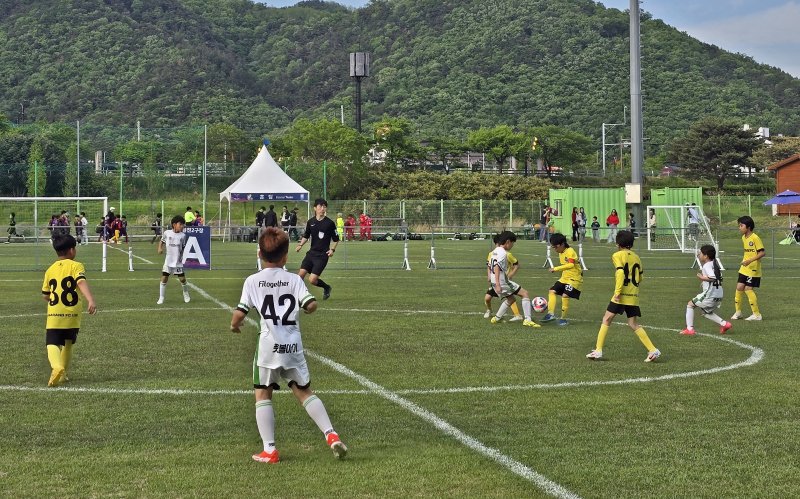 경주 화랑대기 유소년축구대회