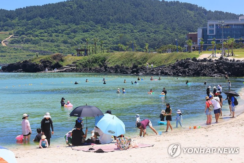 여름엔 바다가 최고 (출처=연합뉴스)