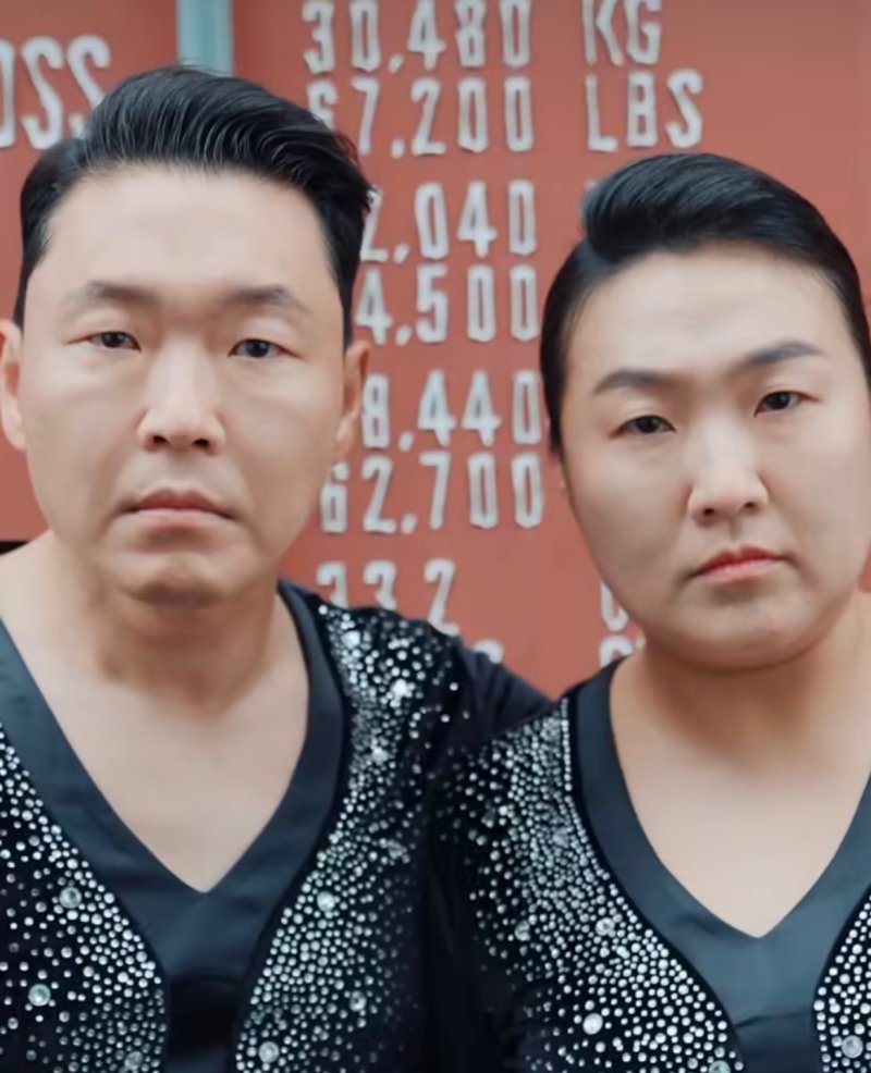 도플갱어 이수지 등장에 싸이 "25년 커리어 흔들린다"