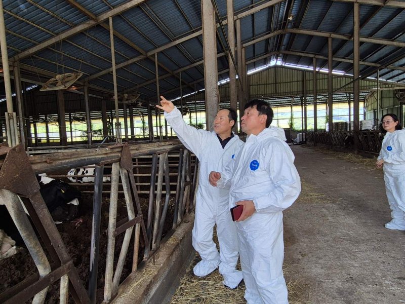 [세종=뉴시스] 농촌진흥청은 강민구 국립축산과학원 축산생명환경부장이 지난 21일 경남 하동군 '해뜰목장'을 찾아 젖소 사양관리와 폭염 대응 실천 현황을 점검하고, 여름철 기상재해에 대한 현장 의견을 청취했다고 22일 밝혔다. (사진=농진청 제공) 2025.07.22. photo@newsis.com *재판매 및 DB 금지