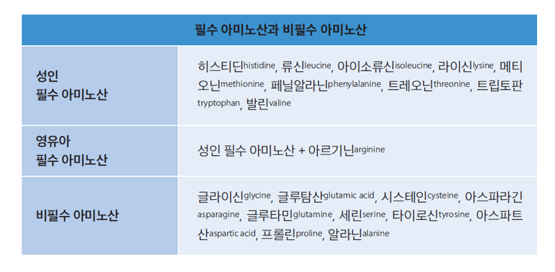 같은 DNA인데 키 차이 10㎝…'잘 먹기'가 이렇게 중요했다 [안철우 교수의 호르몬 백과사전]