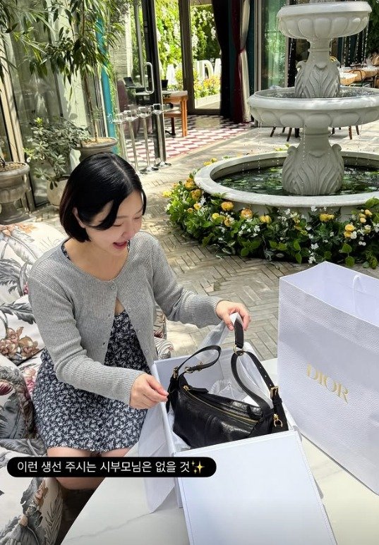 '쌍둥이' 출산 레이디제인, 명품백 받았다 이런 시부모님 없어