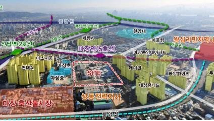 (출처=연합메이저 바카라 사이트)