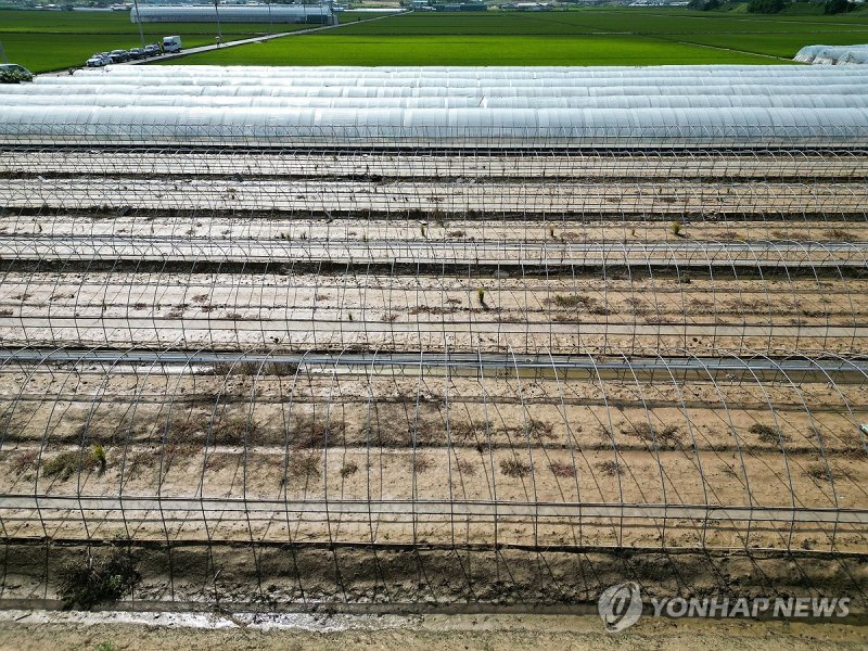 뼈대만 앙상하게 (출처=연합뉴스)
