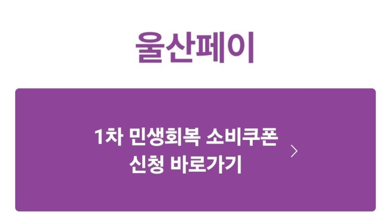 울산페이 소비쿠폰 신청화면 (출처=연합뉴스)