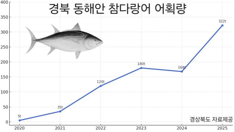 경북 동해안 참다랑어 어획량 그래프.(경북도 제공. 재판매 및 DB 금지)2025.7.23/뉴스1