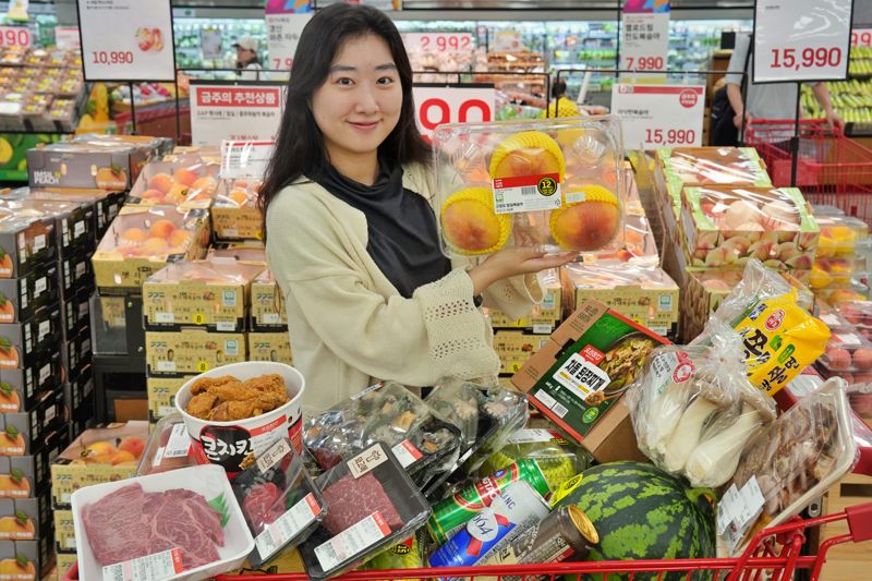 롯데마트, '떠나요 맛캉스' 행사…와규·치킨 등 여름 먹거리 할인