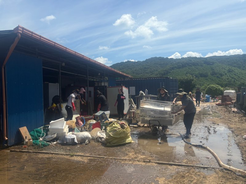 충남도 어촌산업과 직원들이 침수 피해를 본 청양 내수면 양식 어가를 찾아 긴급 복구에 나서고 있다.(충남도 제공. 재판매 및 DB금지)/뉴스1