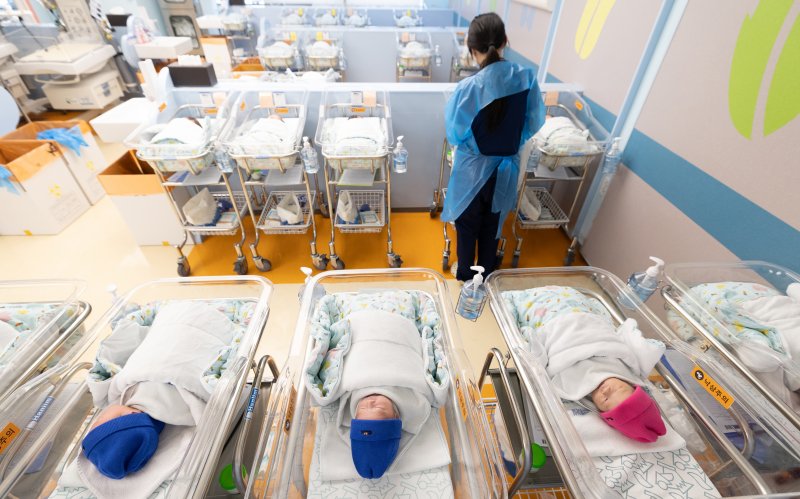 지난 6월 25일 경기 고양시 일산차병원 신생아실에서 간호사가 아기를 돌보고 있다. 뉴스1
