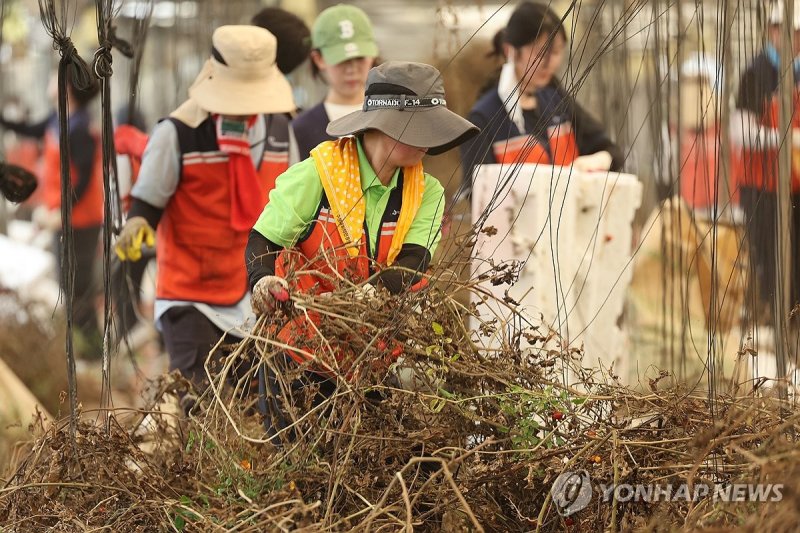 '힘 내세요' 수해 복구 자원봉사자들 (출처=연합뉴스)