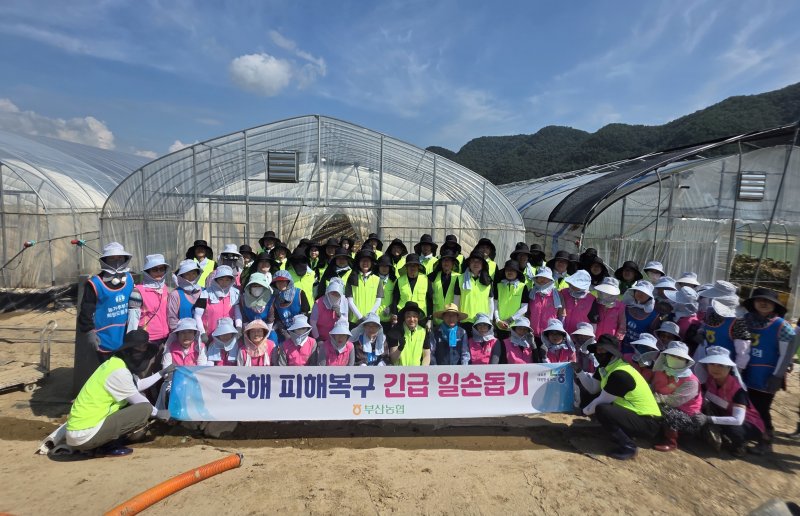 [부산=뉴시스] 부산농협은 23일 최근 집중호우로 큰 피해를 본 경남 합천군 일대 마을을 찾아 수해 복구를 위한 일손 돕기에 나섰다. (사진=부산농협 제공) 2025.07.23. photo@newsis.com *재판매 및 DB 금지