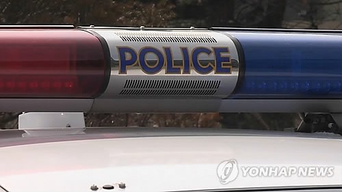 경찰차 사이렌 (출처=연합뉴스)