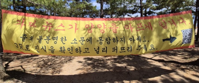 가짜뉴스가 양양을 아프게 합니다 (출처=연합뉴스)