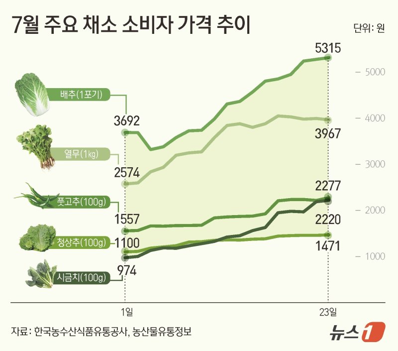 ⓒ News1 김초희 디자이너