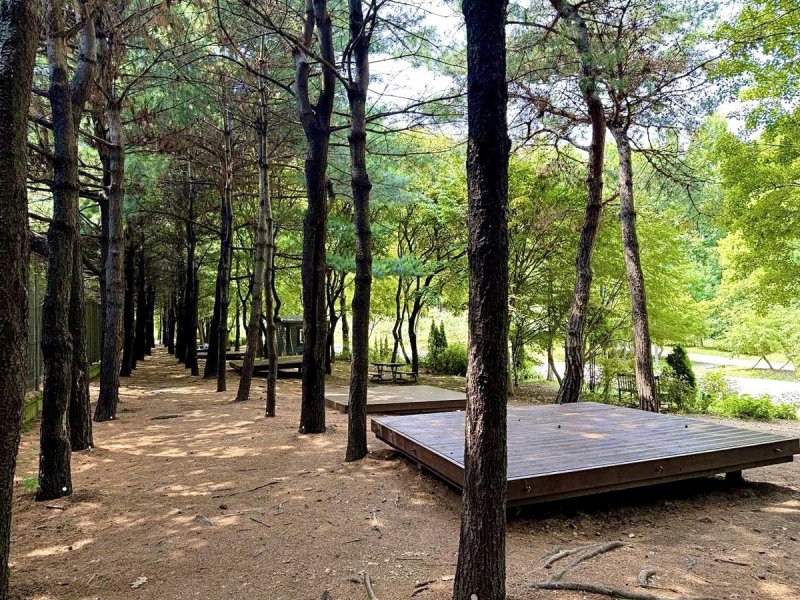 성동 서울숲 여름 캠핑장 (출처=연합뉴스)