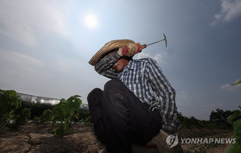 폭염 속 온열질환 조심 (출처=연합뉴스)